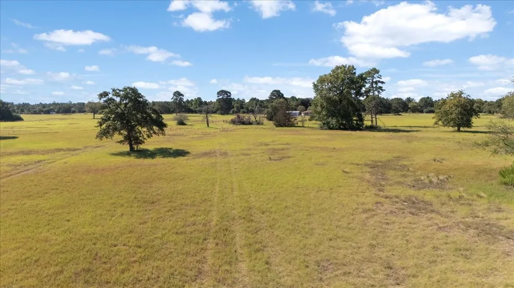 1000 County Road 1208 Grapeland, TX 75844