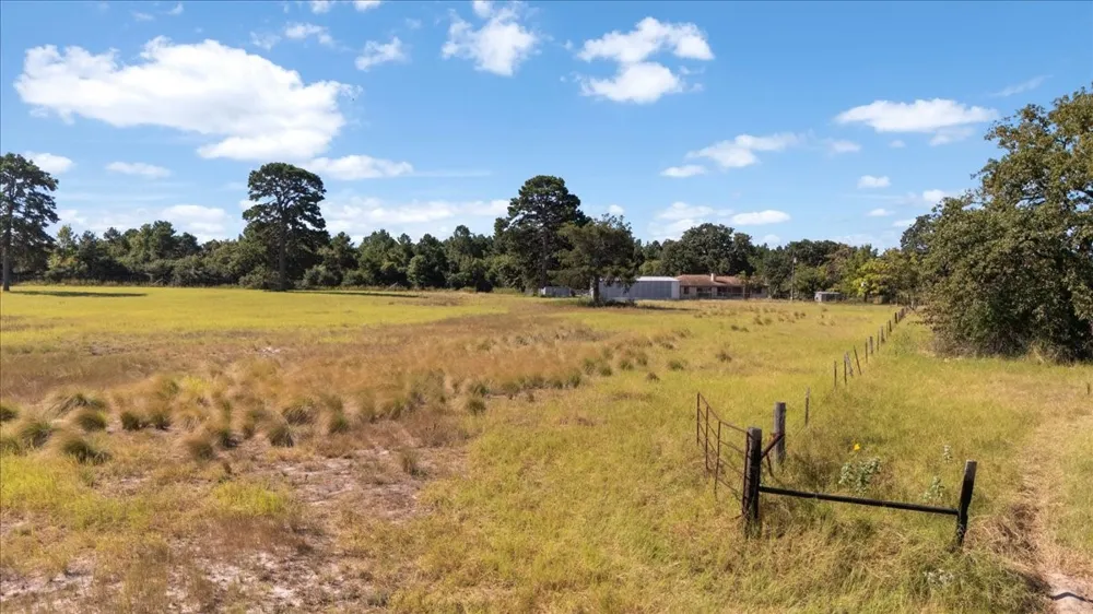 1000 County Road 1208 Grapeland, TX 75844
