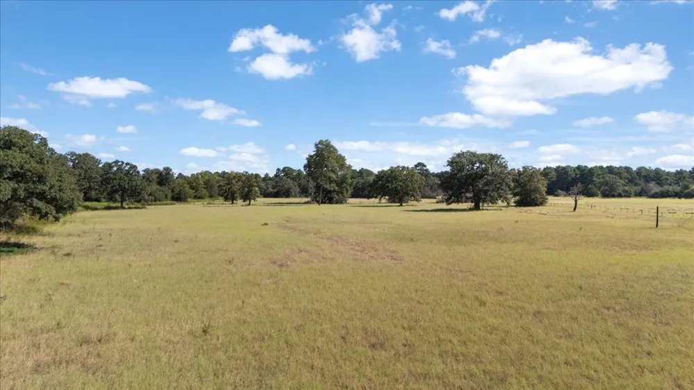1000 County Road 1208 Grapeland, TX 75844