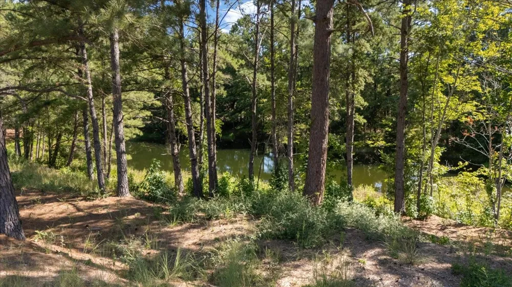 1000 County Road 1208 Grapeland, TX 75844