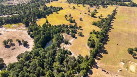 1000 County Road 1208