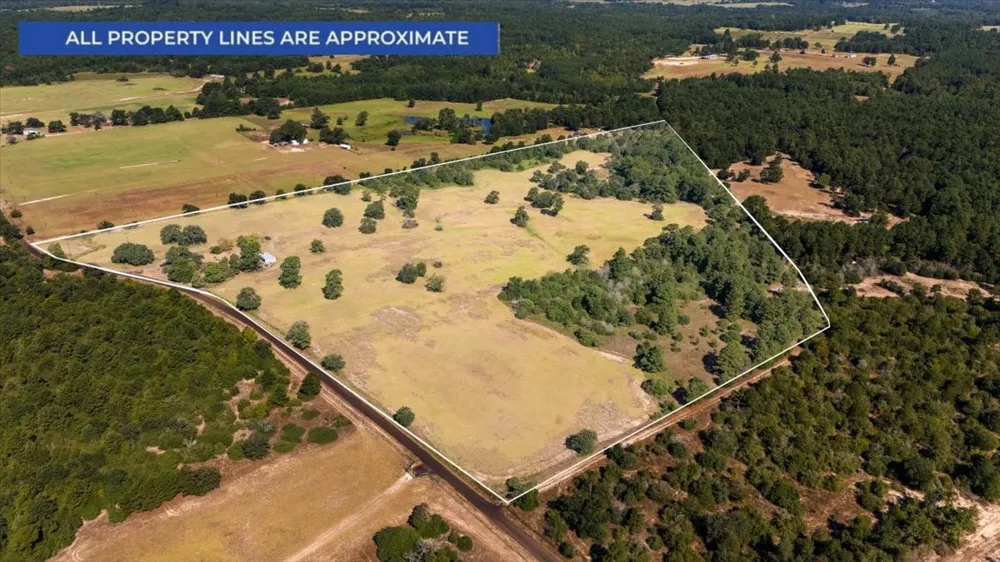 1000 County Road 1208 Grapeland, TX 75844