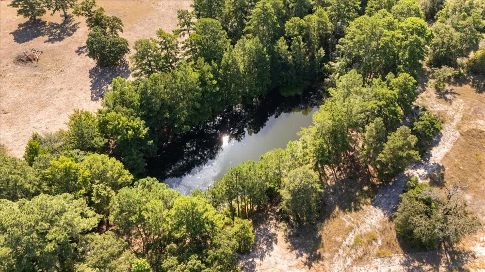 1000 County Road 1208 Grapeland, TX 75844