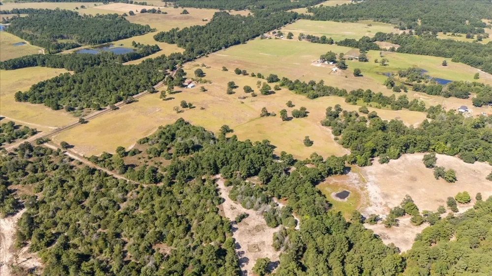 1000 County Road 1208 Grapeland, TX 75844