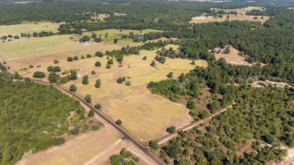 1000 County Road 1208 Grapeland, TX 75844
