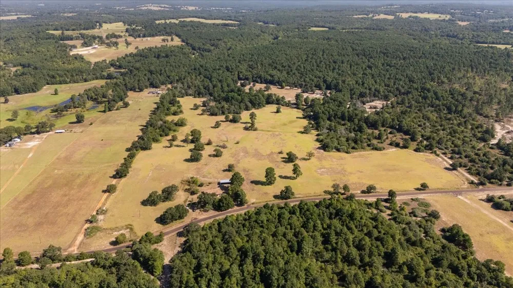 1000 County Road 1208 Grapeland, TX 75844