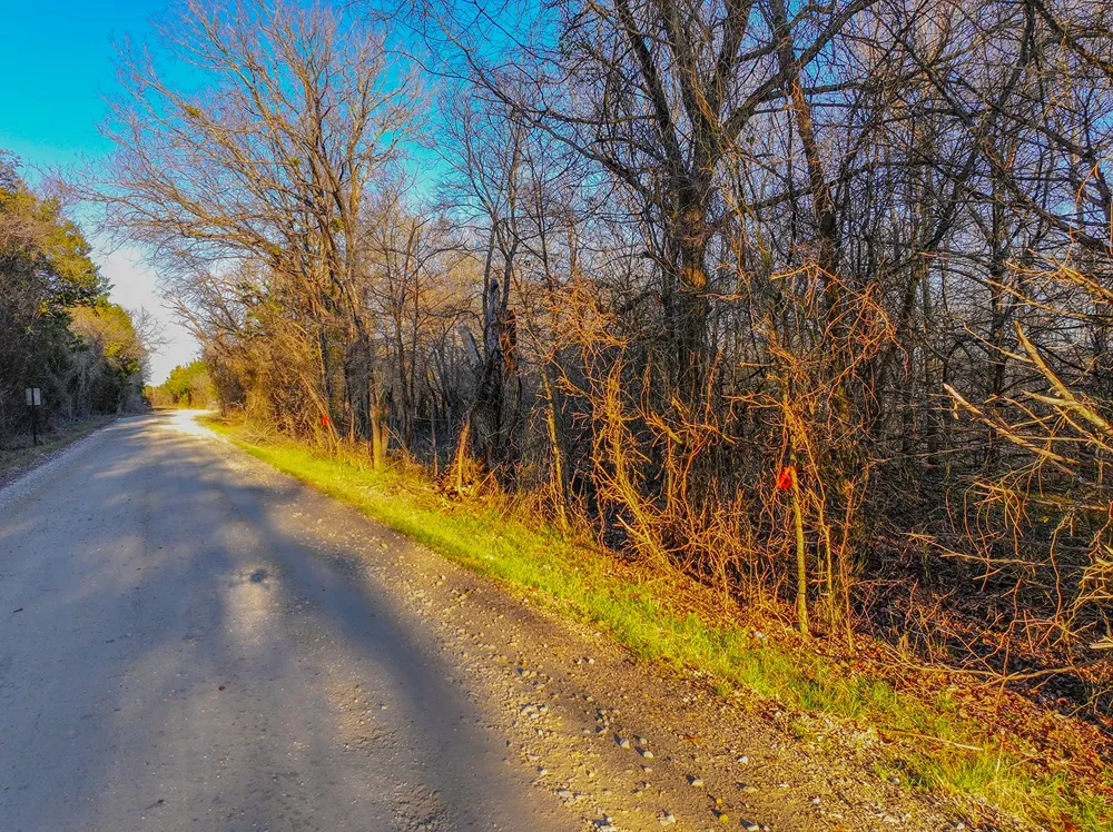 259 NW County 3115 Road Purdon, TX 76679