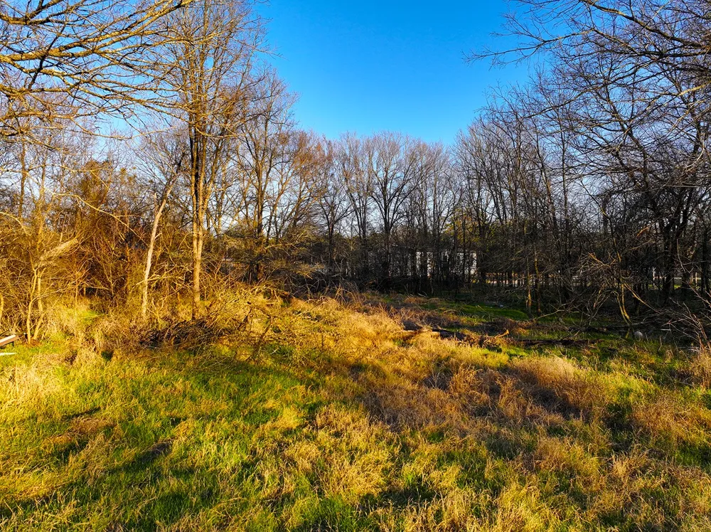 259 NW County 3115 Road Purdon, TX 76679