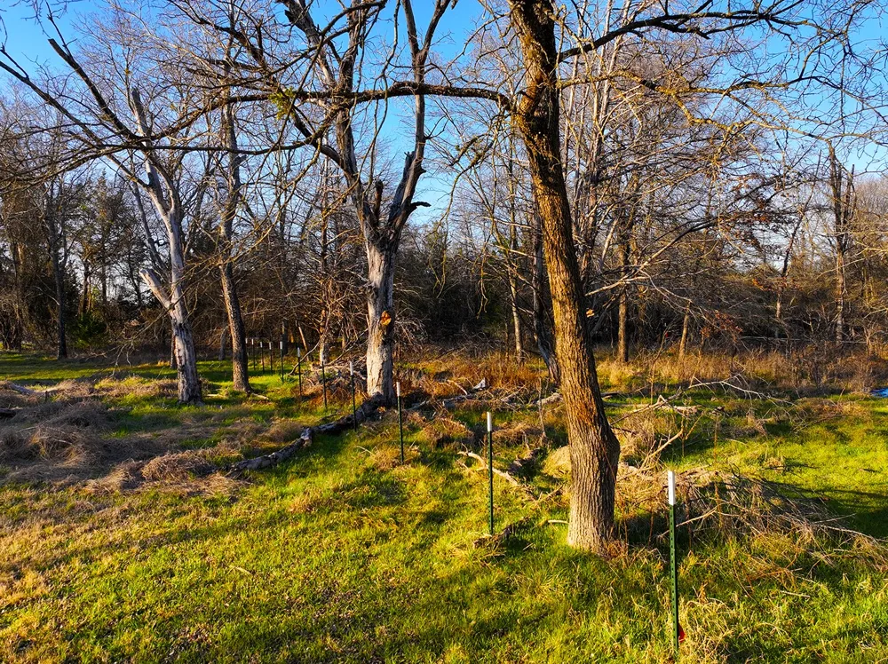 259 NW County 3115 Road Purdon, TX 76679