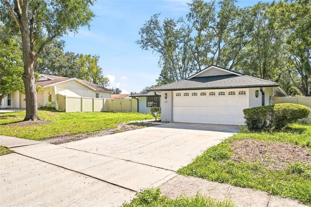 1123 FOGGY RIDGE PARKWAY Lutz, FL 33559