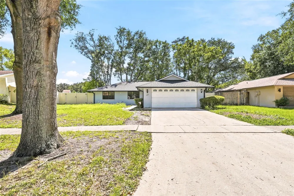 1123 FOGGY RIDGE PARKWAY Lutz, FL 33559