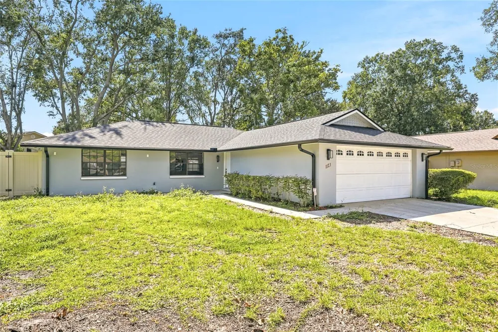 1123 FOGGY RIDGE PARKWAY Lutz, FL 33559