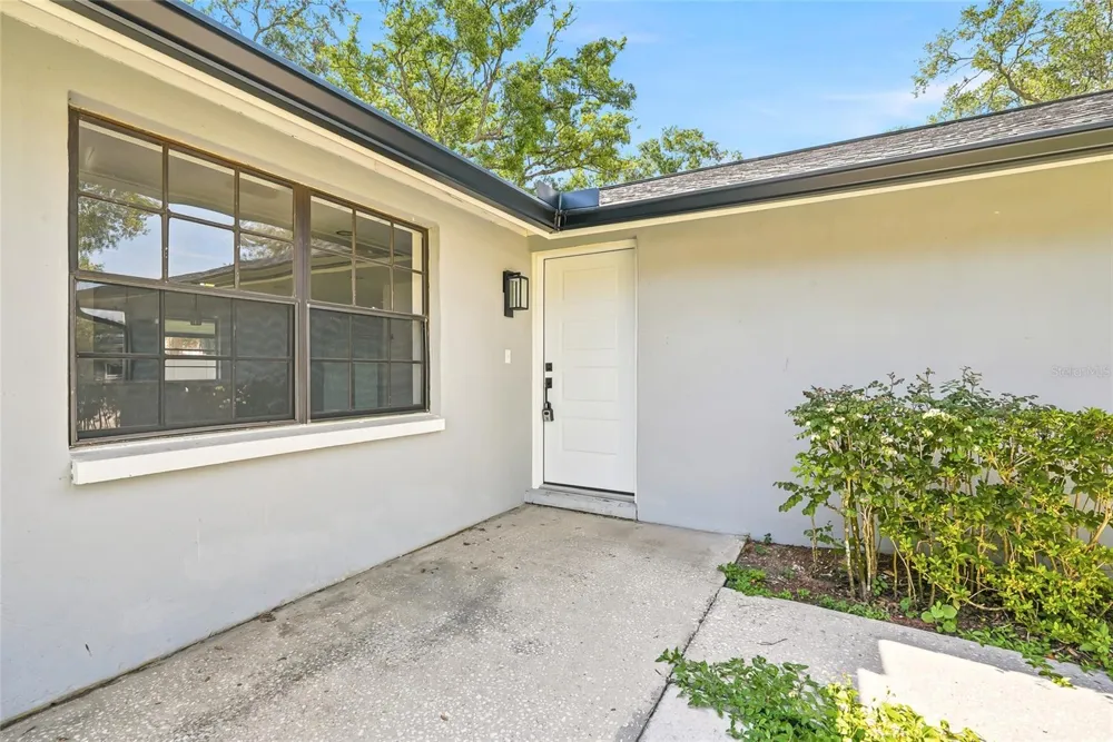 1123 FOGGY RIDGE PARKWAY Lutz, FL 33559