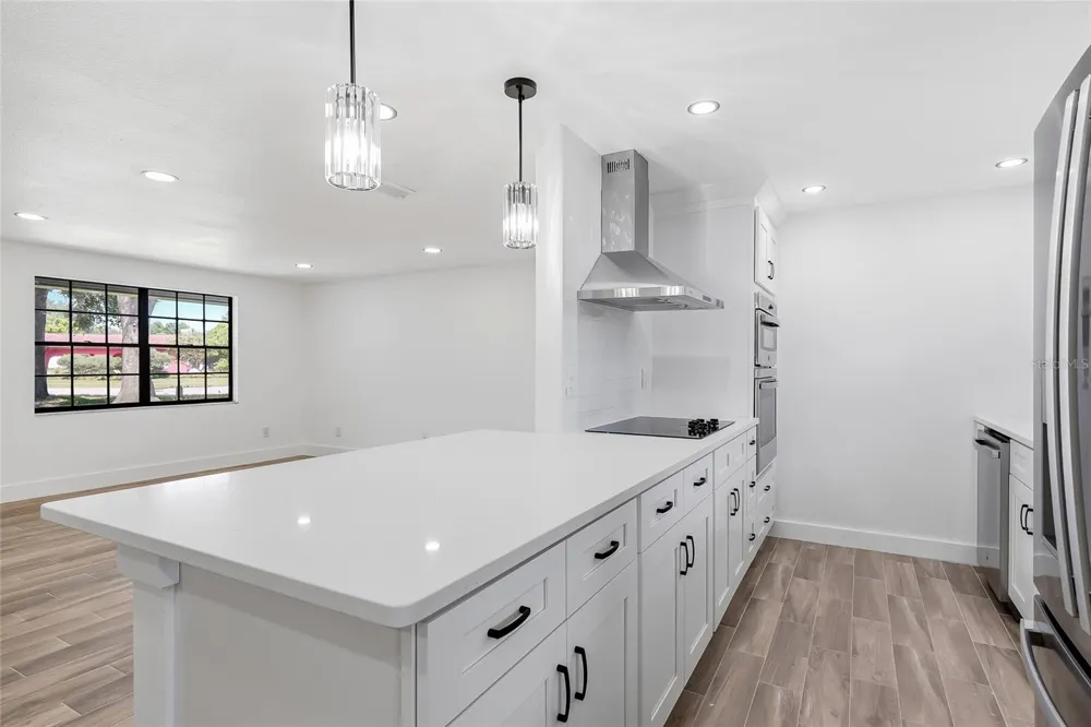1123 FOGGY RIDGE PARKWAY Lutz, FL 33559