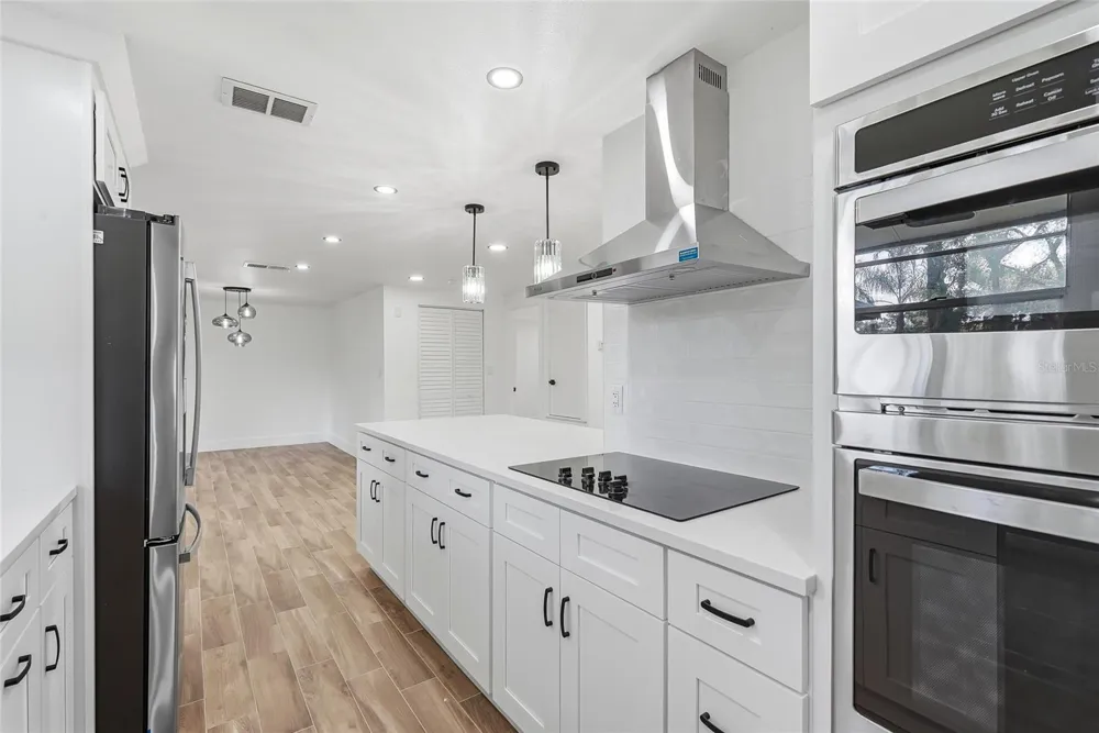 1123 FOGGY RIDGE PARKWAY Lutz, FL 33559