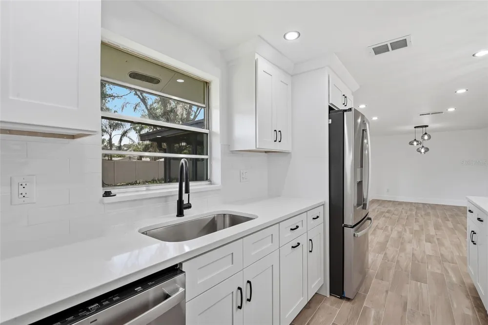 1123 FOGGY RIDGE PARKWAY Lutz, FL 33559