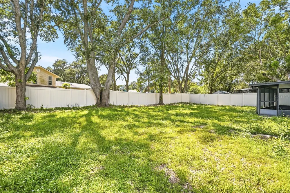 1123 FOGGY RIDGE PARKWAY Lutz, FL 33559