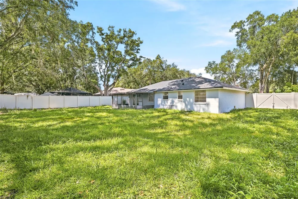 1123 FOGGY RIDGE PARKWAY Lutz, FL 33559