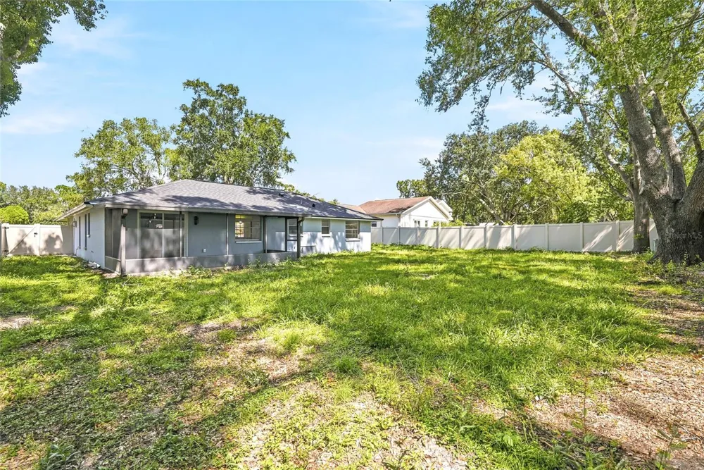 1123 FOGGY RIDGE PARKWAY Lutz, FL 33559