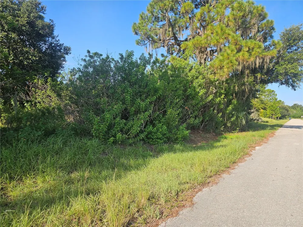 251 SUNBEAM COURT Lake Placid, FL 33852