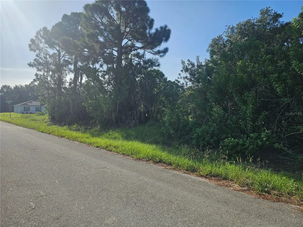 251 SUNBEAM COURT Lake Placid, FL 33852