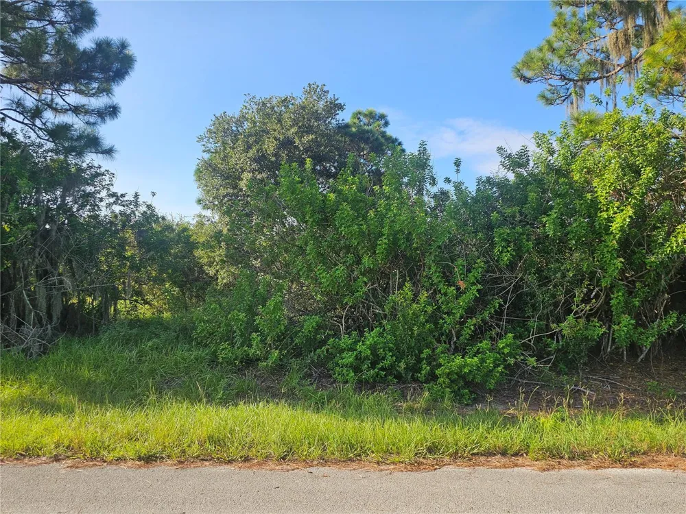 251 SUNBEAM COURT Lake Placid, FL 33852