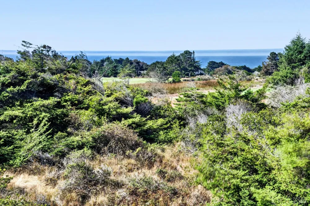 226 White Tail The Sea Ranch, CA 95497