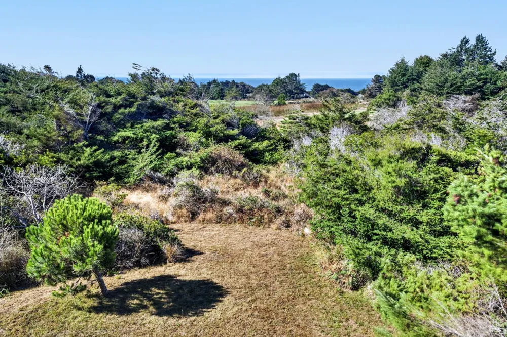 226 White Tail The Sea Ranch, CA 95497