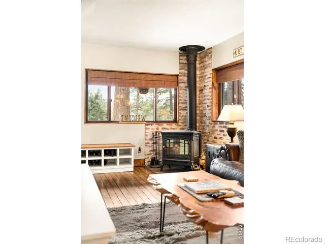 257 Lo Meadow Lane Bailey, CO 80421