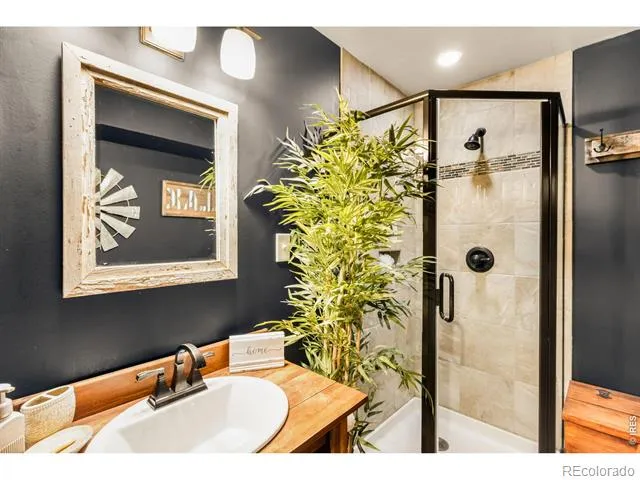 257 Lo Meadow Lane Bailey, CO 80421