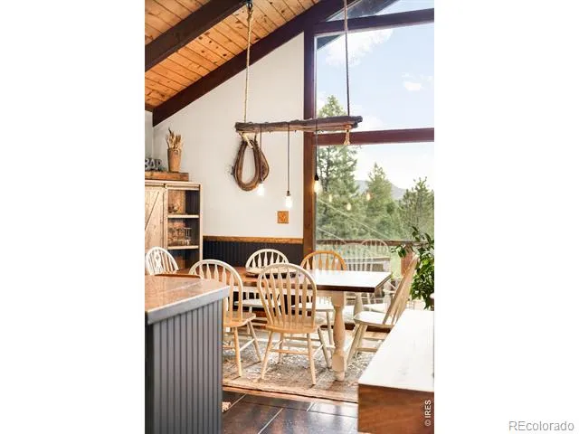 257 Lo Meadow Lane Bailey, CO 80421
