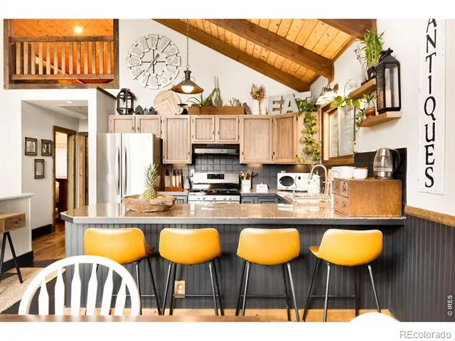 257 Lo Meadow Lane Bailey, CO 80421