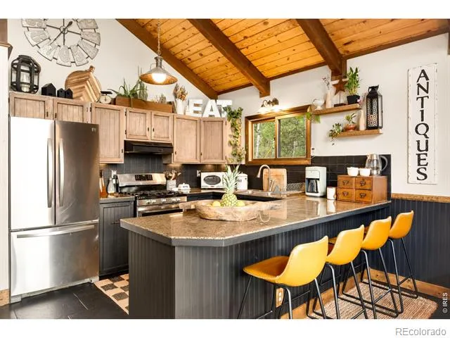 257 Lo Meadow Lane Bailey, CO 80421