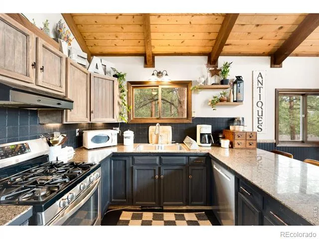 257 Lo Meadow Lane Bailey, CO 80421