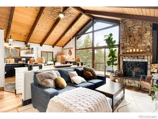 257 Lo Meadow Lane Bailey, CO 80421