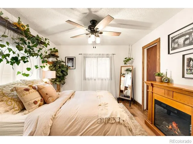 257 Lo Meadow Lane Bailey, CO 80421