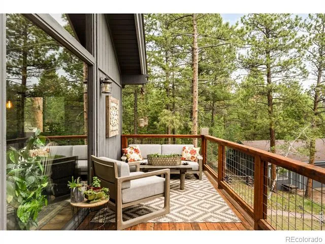 257 Lo Meadow Lane Bailey, CO 80421