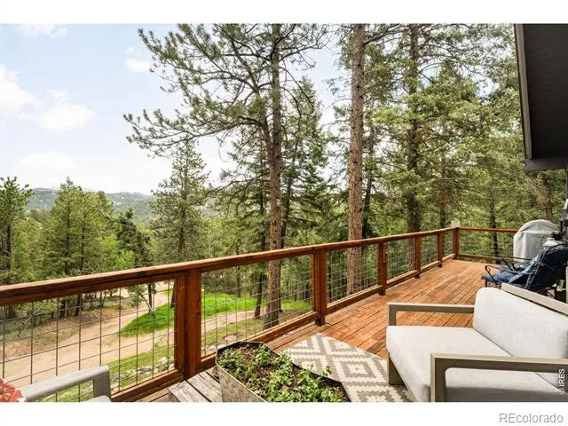 257 Lo Meadow Lane Bailey, CO 80421