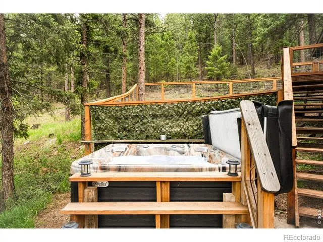 257 Lo Meadow Lane Bailey, CO 80421