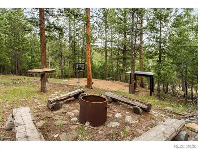 257 Lo Meadow Lane Bailey, CO 80421