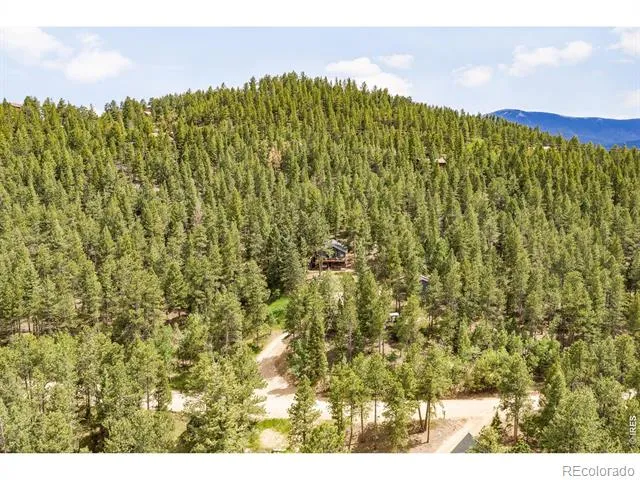 257 Lo Meadow Lane Bailey, CO 80421