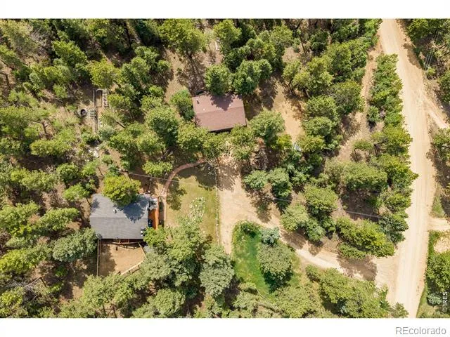 257 Lo Meadow Lane Bailey, CO 80421