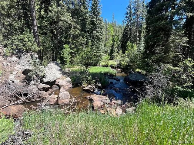 257 Lo Meadow Lane Bailey, CO 80421