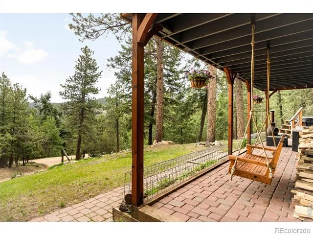 257 Lo Meadow Lane Bailey, CO 80421