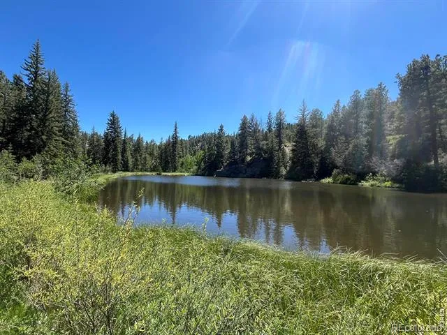 257 Lo Meadow Lane Bailey, CO 80421