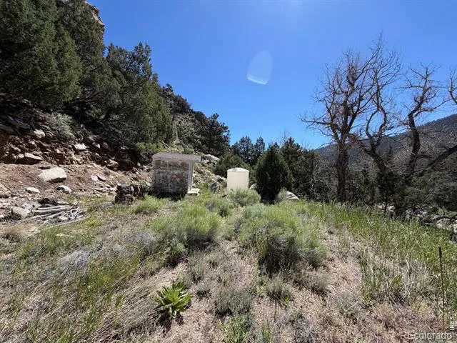 32370 Poudre Canyon Road Bellvue, CO 80512