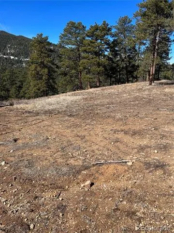 Lot 1 Iowa Gulch Road Morrison, CO 80465
