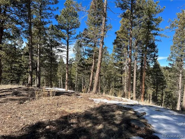 7871 Gold Rush Morrison, CO 80465