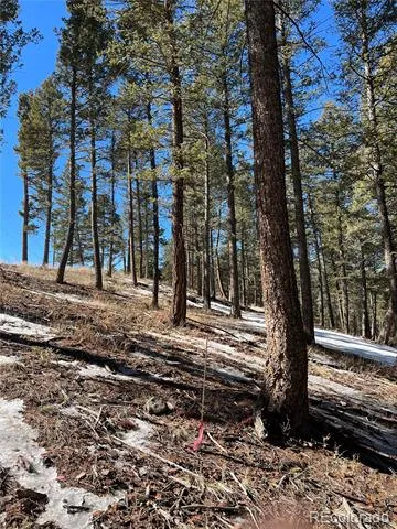 7871 Gold Rush Morrison, CO 80465