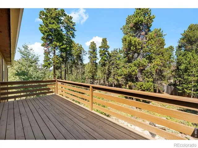 4 Gap Road Black Hawk, CO 80422
